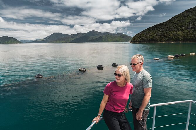 Full Day Iconic Mail Boat Cruise - Mail, groceries, freight, and the local welcome