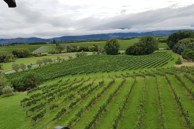 Full-Day Marlborough Catamaran Cruise with Wine Tour and Lunch - Three wineries and a slower afternoon in wine country
