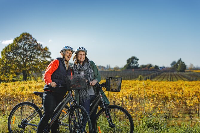 Full-Day Marlborough Wine Region Bike Hire - Key points for planning your Marlborough bike day