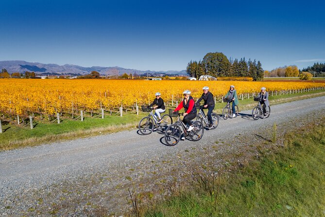 Full-Day Marlborough Wine Region Bike Hire - How many wineries can you visit?
