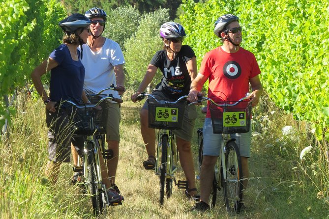 Full-Day Marlborough Wine Region Bike Hire - Starting at The Vines Village or Blenheim CBD