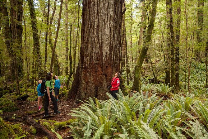 Full-Day Milford Sound Tour with Cruise and Walks from Te Anau - Key points to know before booking
