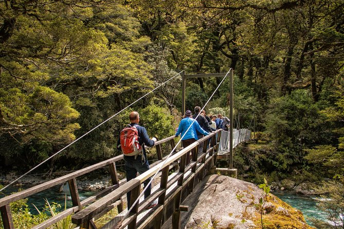 Full-Day Milford Sound Tour with Cruise and Walks from Te Anau - Milford Sound by small boat