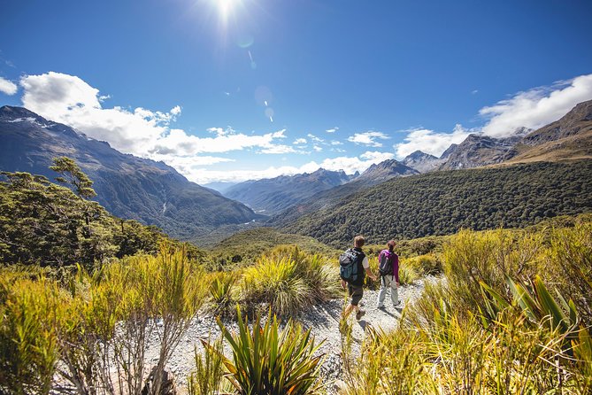 Full-Day Milford Sound Tour with Cruise and Walks from Te Anau - Picnic lunch and the all-day pace