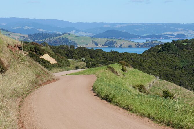 Full Day Private Waiheke Island Wine Tour Including Lunch - A private day built around Waiheke wine