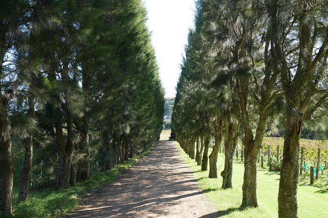 Full Day Private Waiheke Island Wine Tour Including Lunch - A two-course lunch gives the day room to breathe
