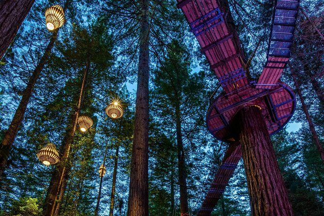 FULL DAY ROTORUA TOUR - Fully Customisable 13 hours Unlimited KMS - Why a private North Island route makes sense