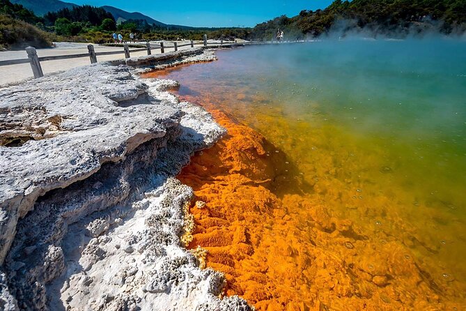 FULL DAY ROTORUA TOUR - Fully Customisable 13 hours Unlimited KMS - Redwoods, Skyline, and Rotorua after dark