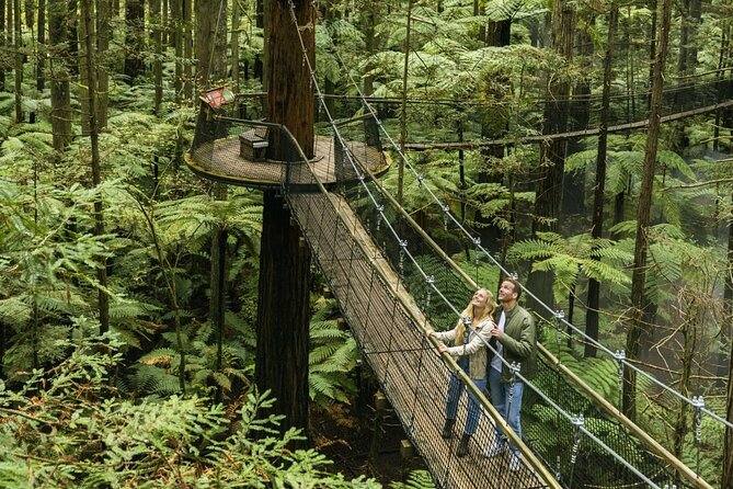 FULL DAY ROTORUA TOUR - Fully Customisable 13 hours Unlimited KMS - Hobbiton and Blue Spring: two strong opening choices