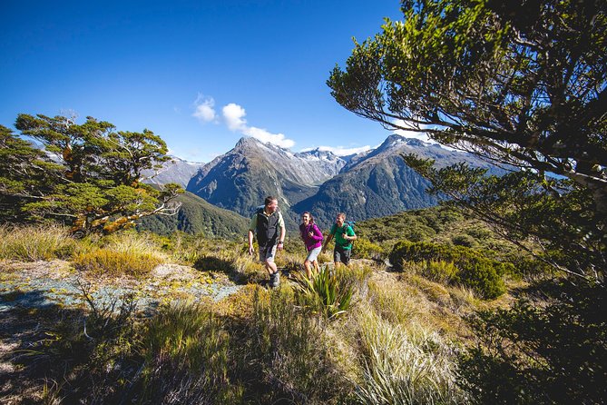 Full-Day Routeburn Track Key Summit Guided Walk from Te Anau - Key points about the Key Summit walk