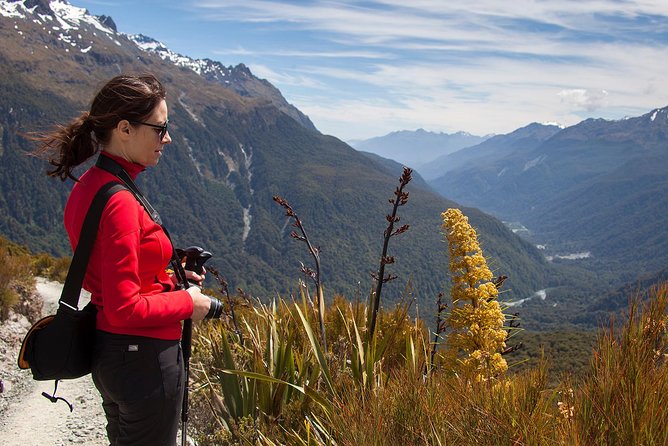 Full-Day Routeburn Track Key Summit Guided Walk from Te Anau - The return descent is easier, but not effortless