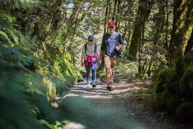 Full-Day Routeburn Track Key Summit Guided Walk from Te Anau - Leaving Te Anau for Fiordland’s mountain divide