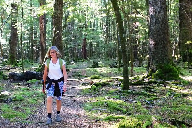 Full-Day Small-Group Routeburn Valley Hike - The value of a guide on a popular track