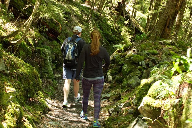 Full-Day Small-Group Routeburn Valley Hike - The café stop solves the picnic problem