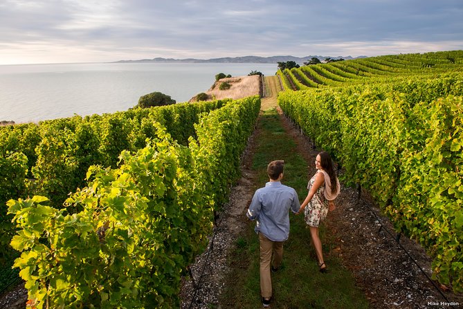 Full-Day Taste the Wines of Marlborough Tour - Key points at a glance
