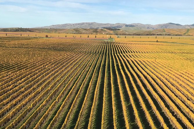 Full-Day Wine Gourmet and Scenic Delight Tour of Marlborough from Blenheim - Why the small group changes the day