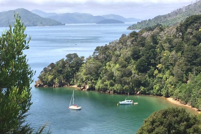 Full-Day Wine Gourmet and Scenic Delight Tour of Marlborough from Blenheim - Transport makes wine tasting easier