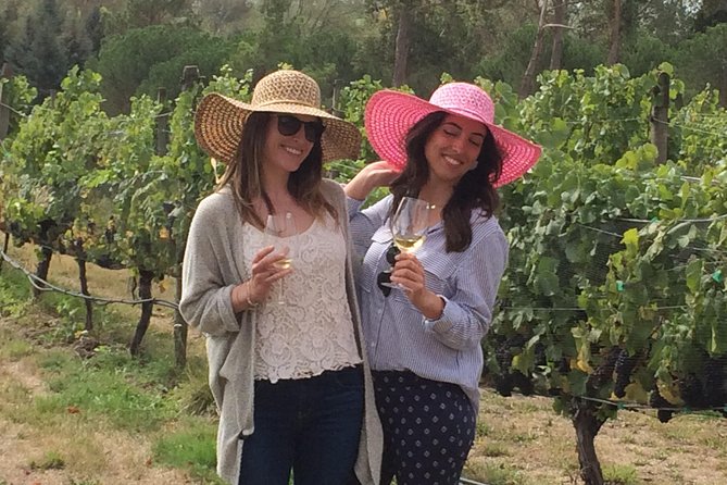 Full-Day Wine Gourmet and Scenic Delight Tour of Marlborough from Blenheim - Saint Clair brings wine and lunch options