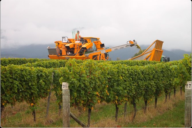 Full-Day Wine Gourmet and Scenic Delight Tour of Marlborough from Picton - Key points to know before you book