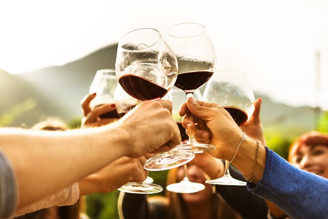 Full-Day Wine Tasting Tour in Auckland with 3-Course Vineyard Lunch - The guide can shape the whole day