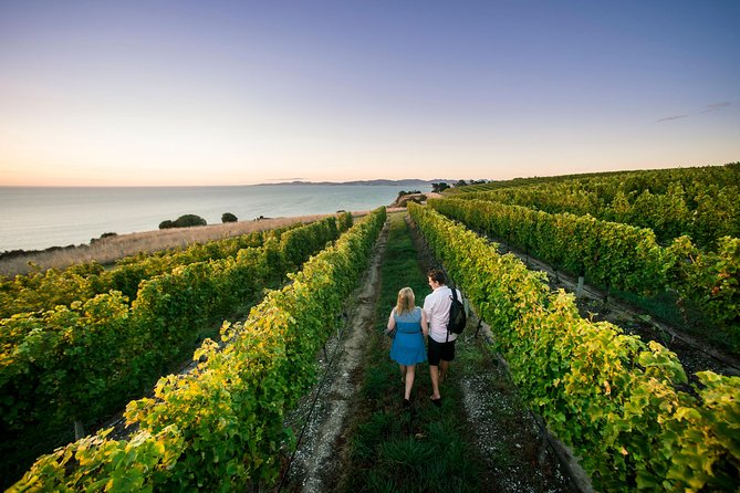 Full Day Winemakers Tour in Marlborough - Why this Marlborough tour works well