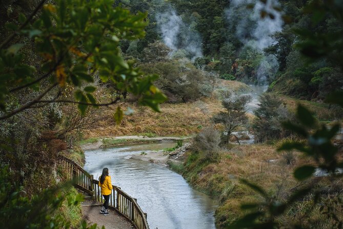 Full Waimangu Experience - Walk & Cruise - Frying Pan Lake and the valley’s first big sights