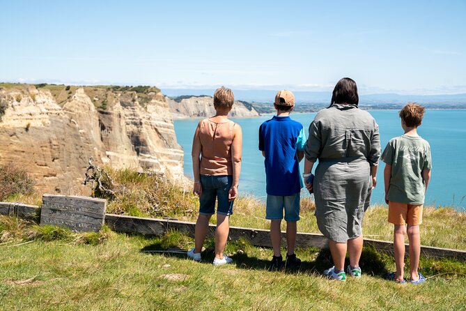 Gannet Safaris Overland tour to Cape Kidnappers Gannet Colony - Comfort, access, and the rough-road reality