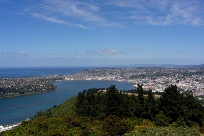 Garden and City tour - The Octagon gives you Dunedin’s center first