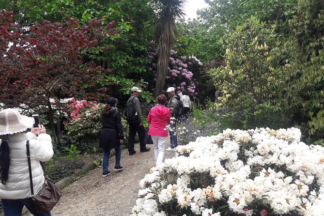 Garden and City tour - The Botanic Garden visit depends on parking