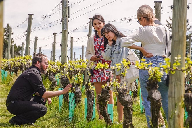 Gibbston Valley Wines - Cave Tour - Practical details before you book