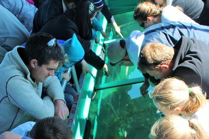 Glass Bottom Boat Tour - Key points to know before you book