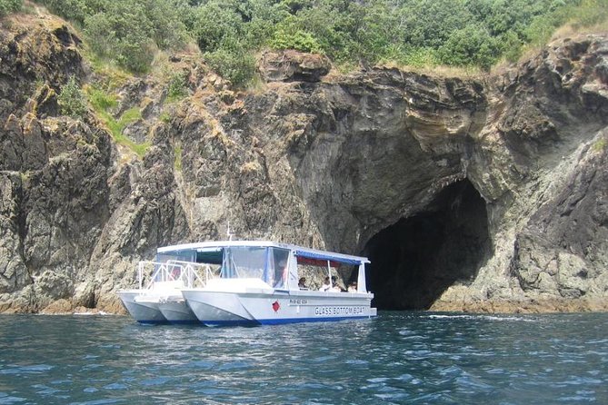 Glass Bottom Boat Tour - Seeing Goat Island without getting wet