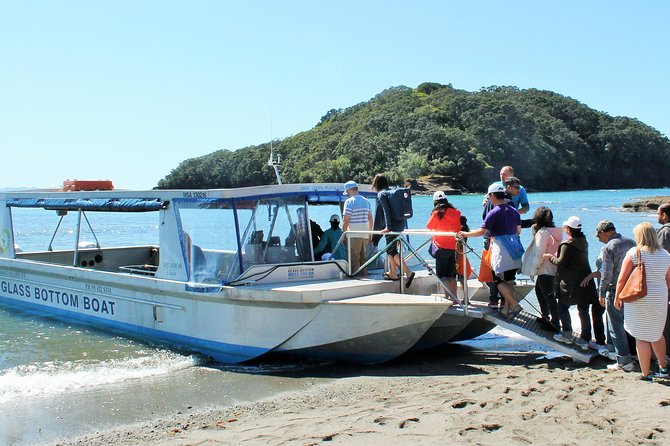 Glass Bottom Boat Tour - Why the one-hour format works