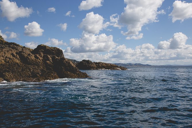 Glass Bottom Boat Tour - Who will enjoy this boat most