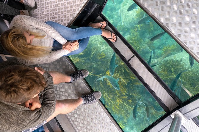 Glass Bottom Boat Whitianga Cathedral Cove Cruise - Key Points To Know Before You Go