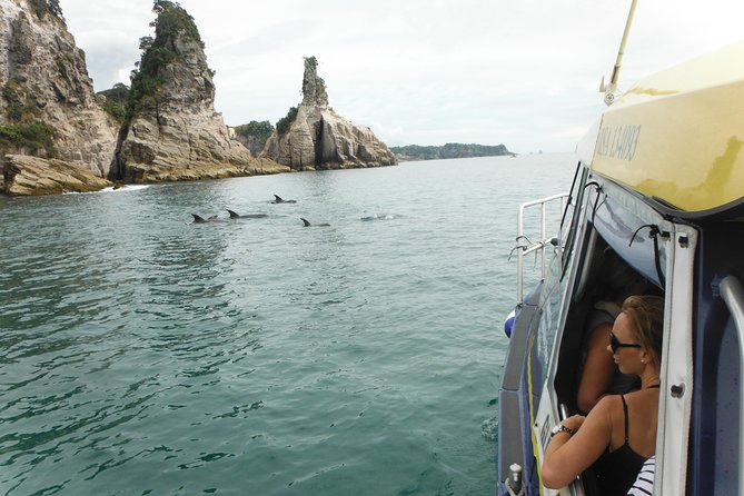 Glass Bottom Boat Whitianga Cathedral Cove Cruise - A Small Boat With A Social Feel
