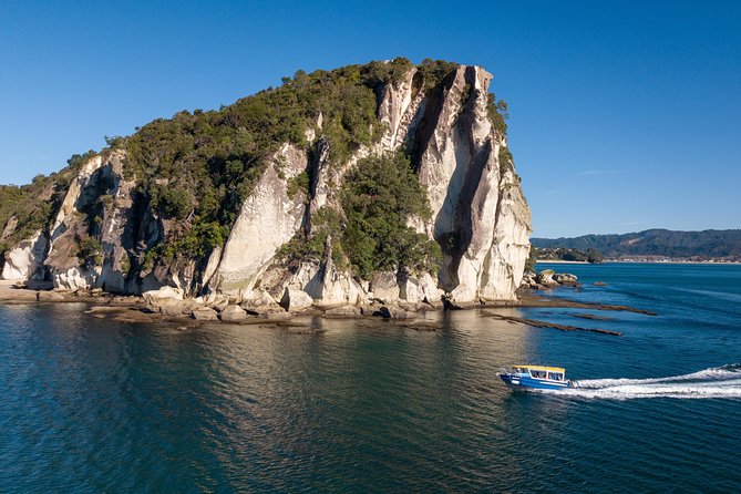 Glass Bottom Boat Whitianga Cathedral Cove Cruise - Is $93.09 A Fair Price?
