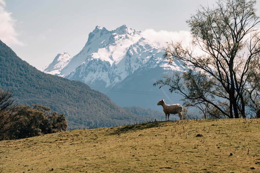 Glenorchy: 4WD Lord Of the Rings Tour Half-Day - Comfort, weather, and the pace of the trip