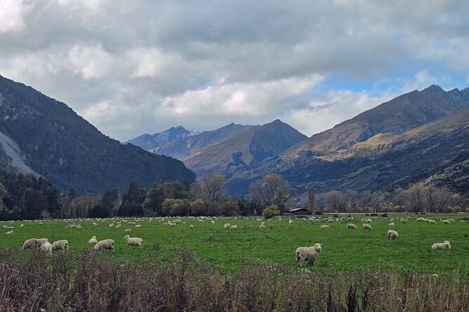 Glenorchy Private Day Trip from Queenstown: TravelnGo - Wilson Bay and Bennett’s Bluff pack in the big views