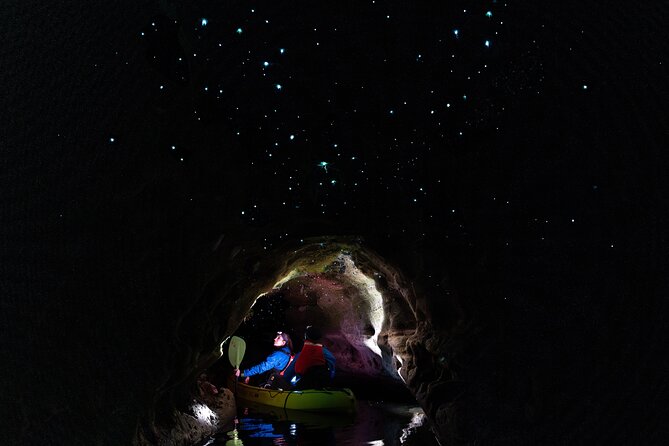Glow Worm Kayak Tour - Why this nighttime paddle is different