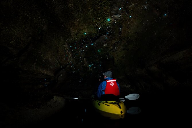 Glow Worm Kayak Tour - Small caves with a close-up glow worm view