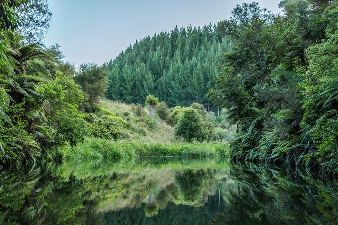 Glow Worm Kayak Tour - The return under stars, weather permitting