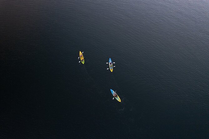 Glow Worm Kayak Tour - Price and what the $121.01 includes