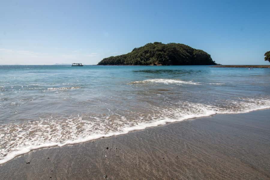 Goat Island: Glass Bottom Boat Tour - Aboard the 49-seat Aquador