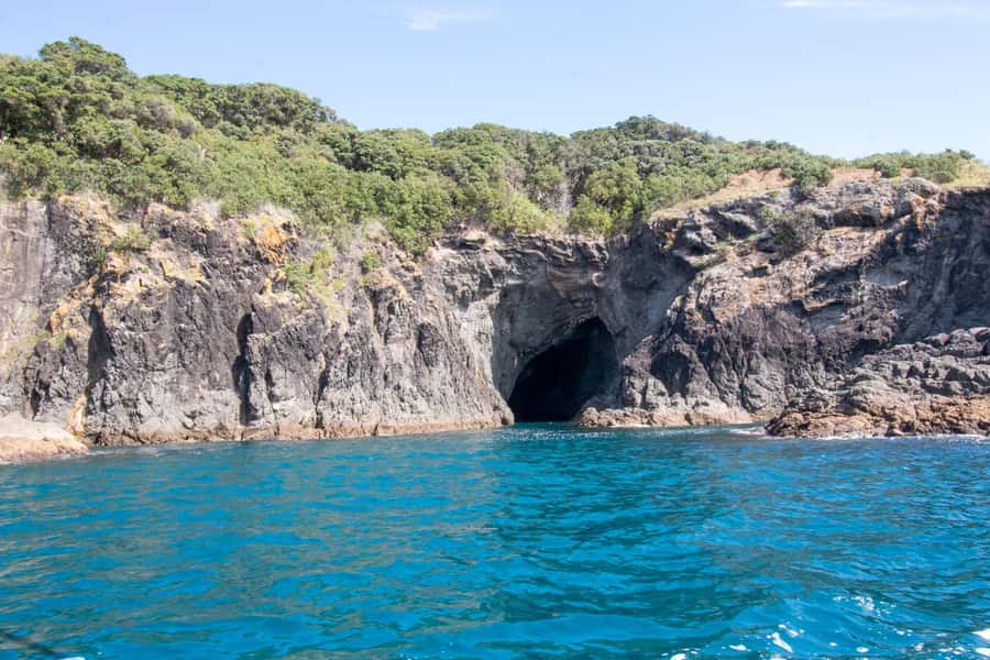 Goat Island: Glass Bottom Boat Tour - Practical ways to make the trip better
