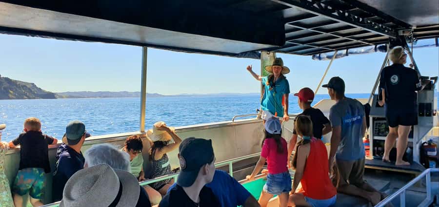 Goat Island: Glass Bottom Boat Tour - Starting at the beach below the stairs
