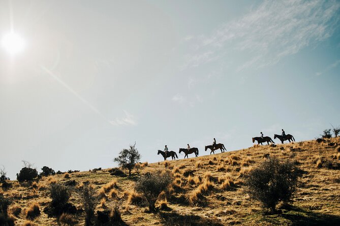 Gold Discovery Trail Horse Trek Cardrona - Most popular! - Key points to know before you book