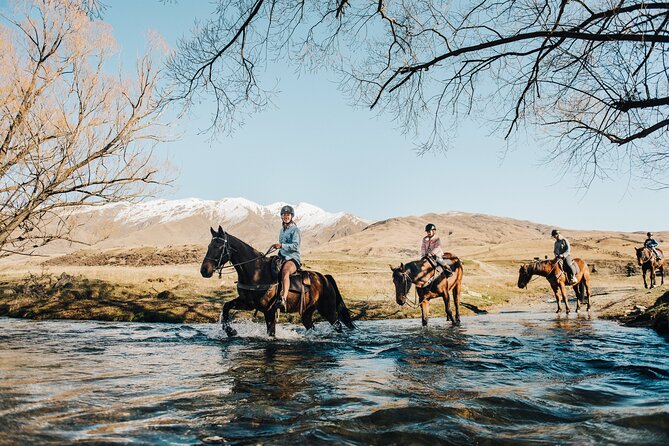 Gold Discovery Trail Horse Trek Cardrona - Most popular! - Riding into Cardrona’s gold-rush country