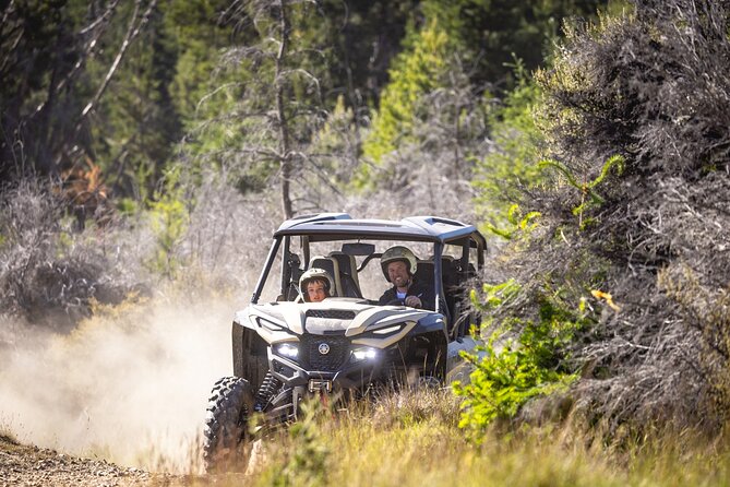Gold Discovery Trail Horse Trek Cardrona - Most popular! - Beginner comfort and physical demands