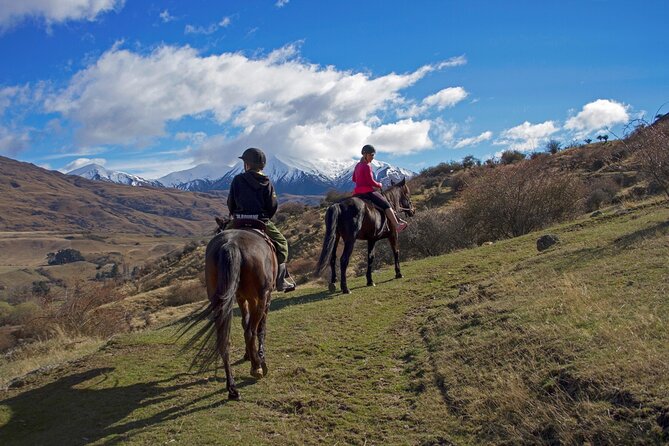 Gold Discovery Trail Horse Trek Cardrona - Most popular! - Getting matched with the right horse